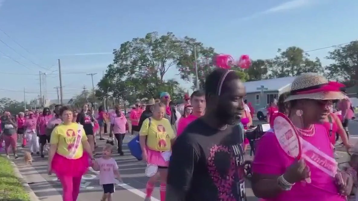 American Cancer Society’s Making Strides Against Breast Cancer walk in Tampa Bay